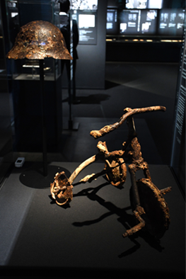 Tricycle and metal helmet