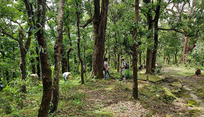 CIES_fieldwork India