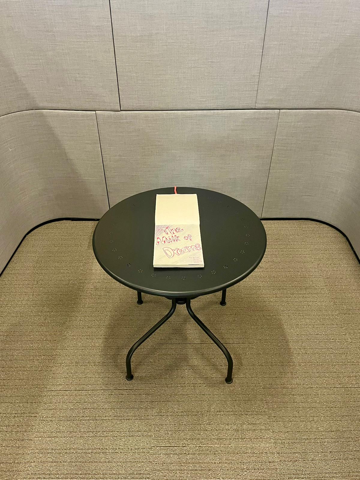 The Diary created by Students