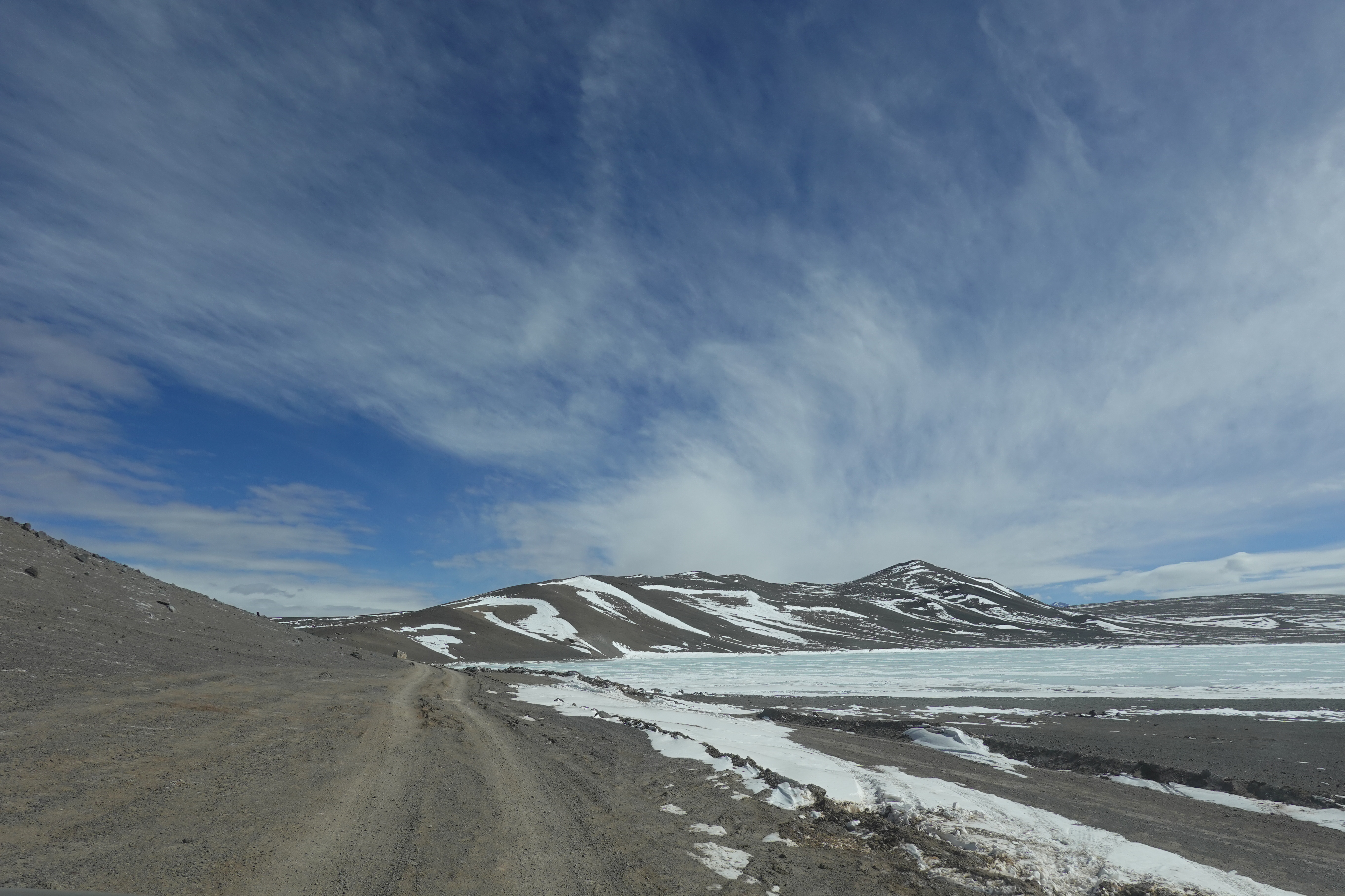 nothern argentina fielwork