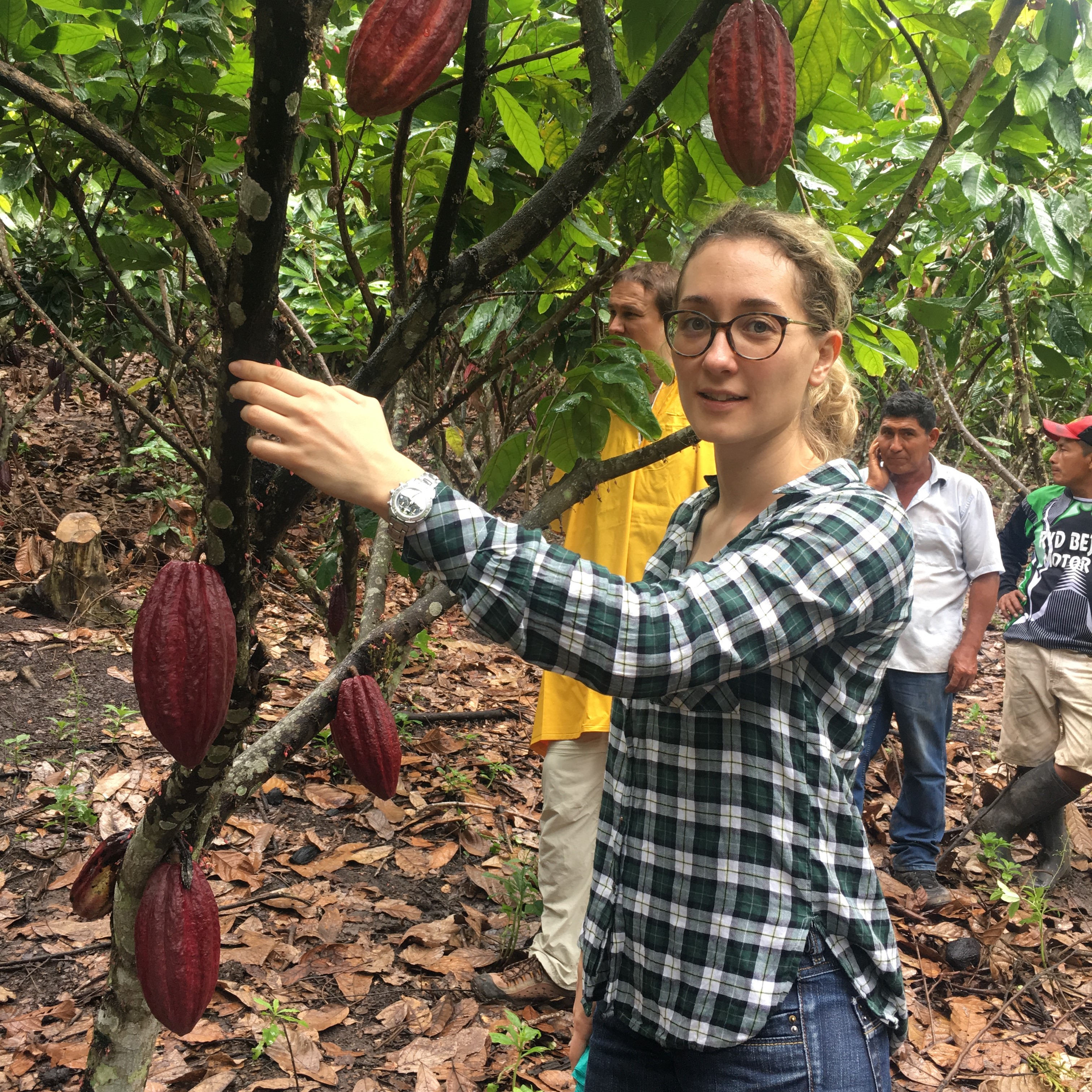 conducting a sustainability assessment in a cocoa producing region in Peru.