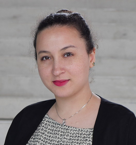 Negar Mansouri