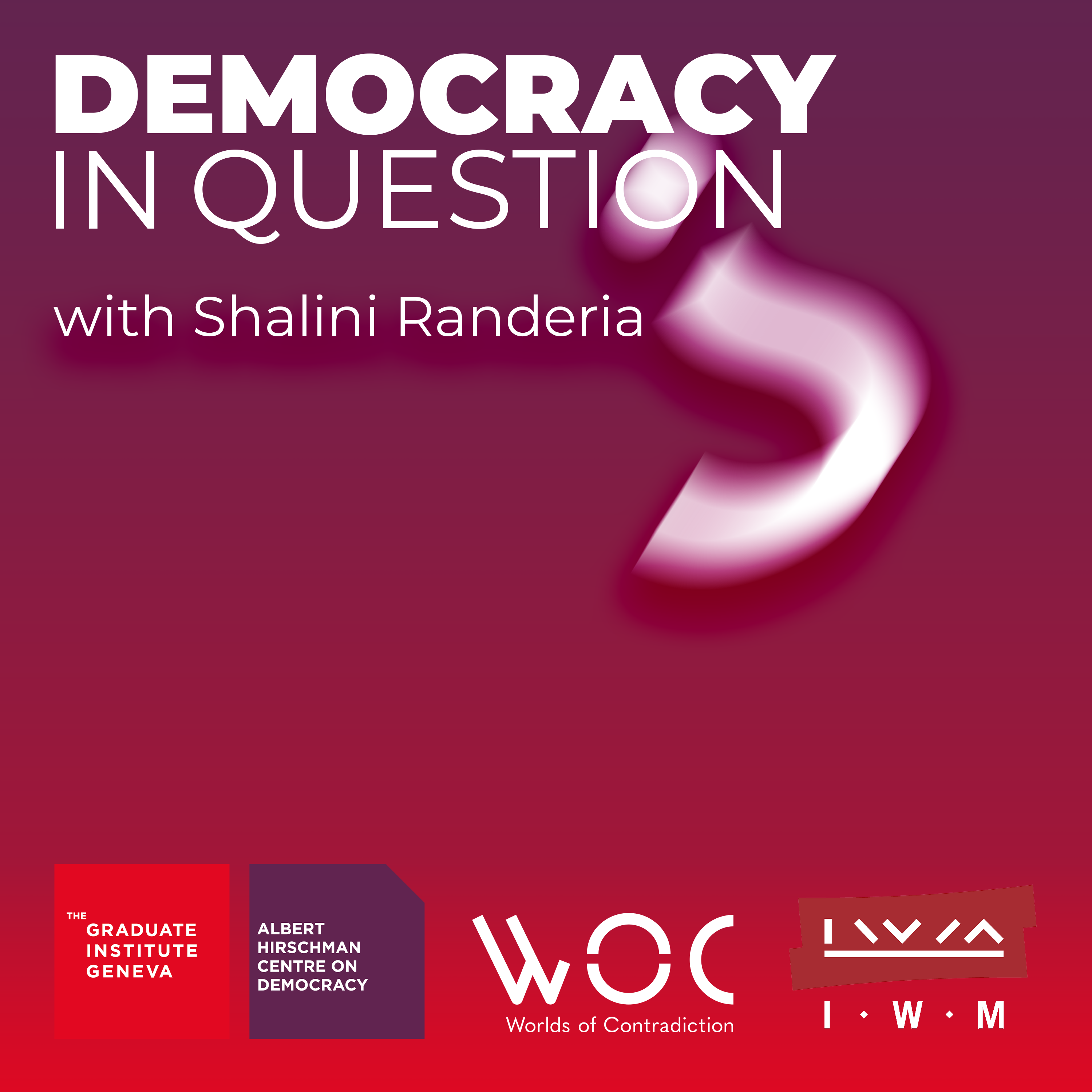 New logo Democracy in Question.png