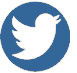 Twitter Blue