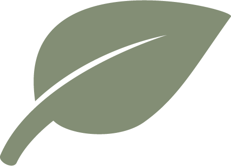 noun-leaf