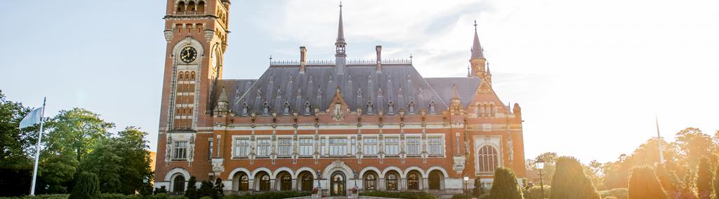 Banner-ICJ