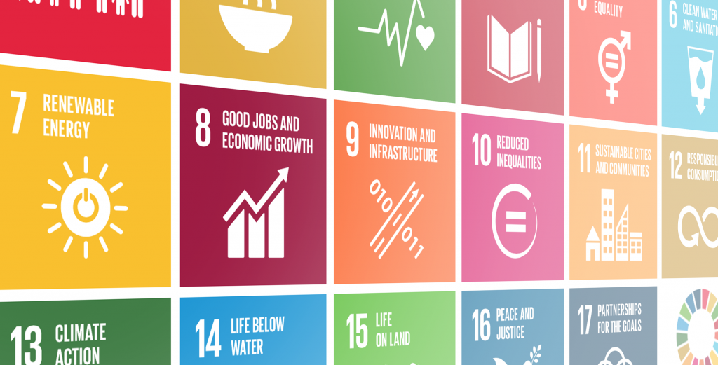 SDG Portal