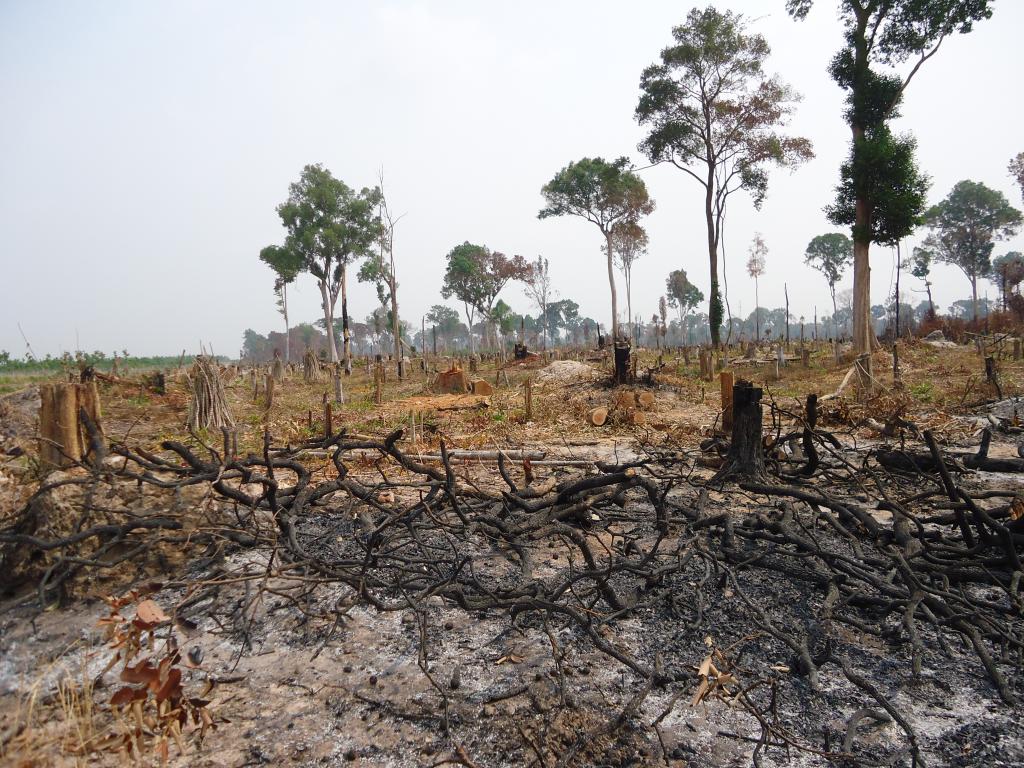 Land commercialisation in Kampong Thum, Cambodia