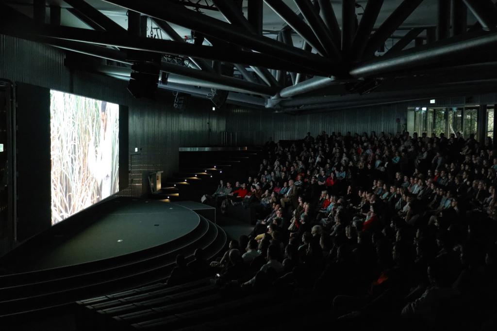 Film screening and debate presentation