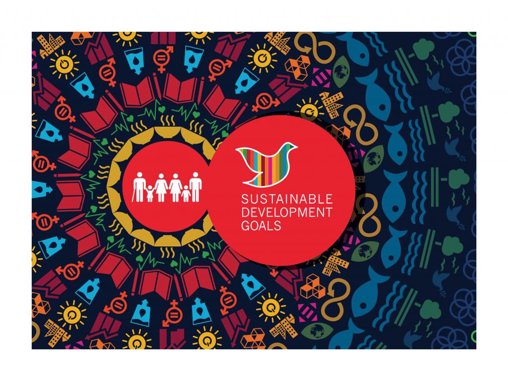 Sustainable Development Goals icon
