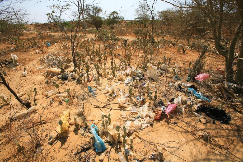 Garbage and plastic bags trapped in thorny bushes in the outskirts of Uribia
