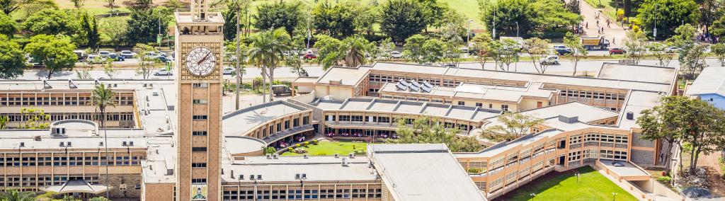 Is Limited Capacity an Obstacle to the Success of Industrial Policies in Africa?