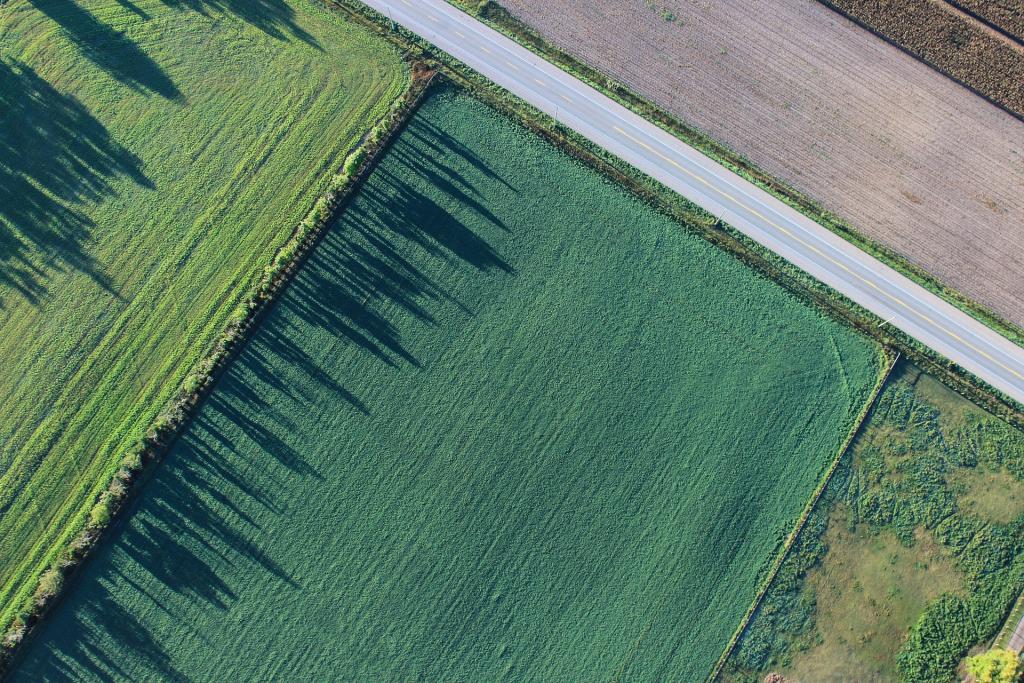 Farm fields aerial image