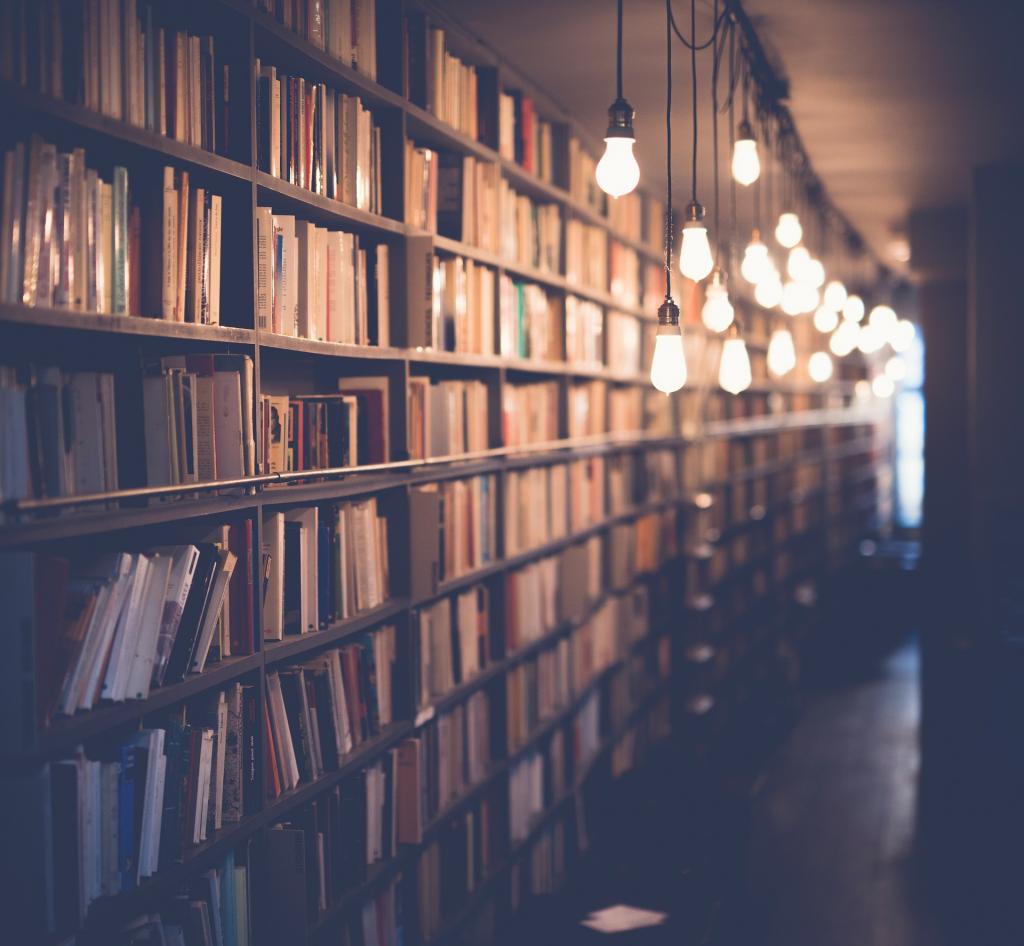 Library shelfs with books