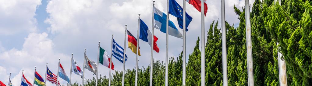 Many flags with blue sky.