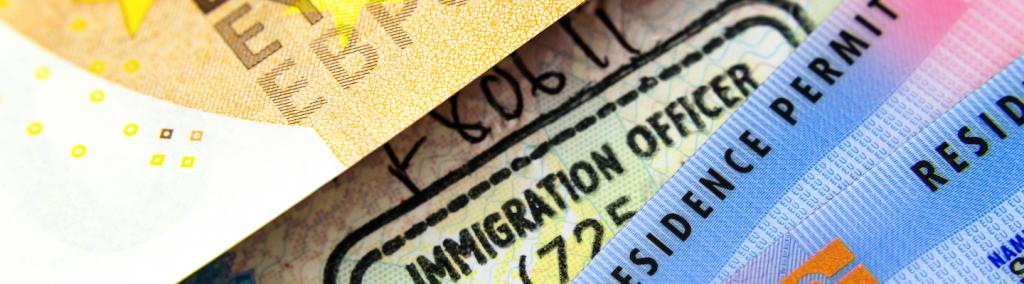 Migration thesis pdf picture