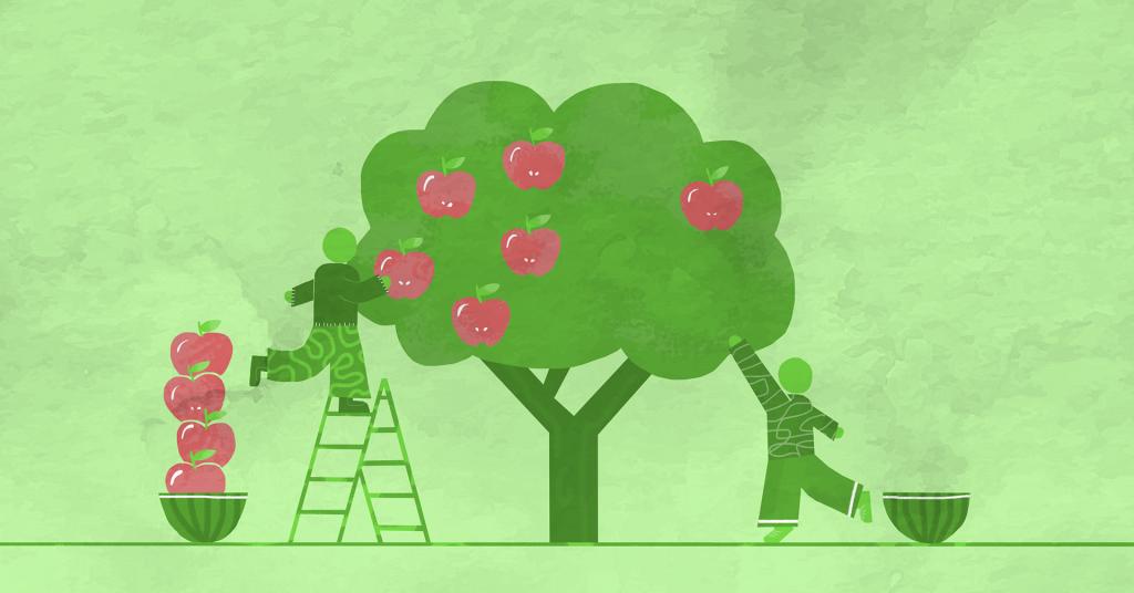 Drawing of peole picking apples from a tree