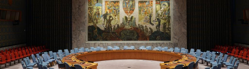United Nations Security Council in New York City.