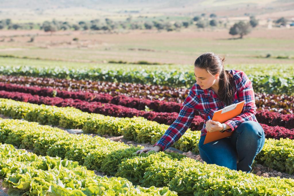 Image of a woman who is checking crops