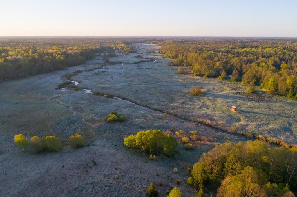  Bialowieża National Park