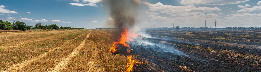 Burning straw in a field.