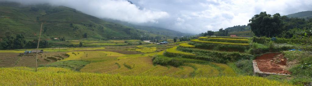 Rice Terraces in Sa Pa, Vietnam