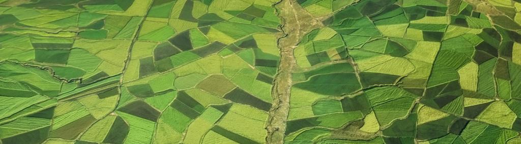 Fertile agricultural landscape, Ethiopia.