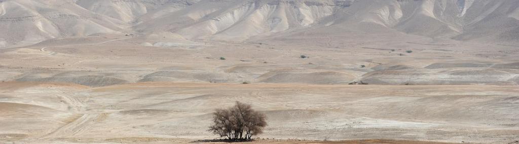 Jordan Valley, West Bank