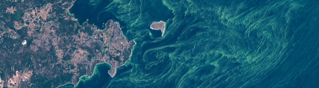 Satellite image of algae bloom around Gotland, Sweden.