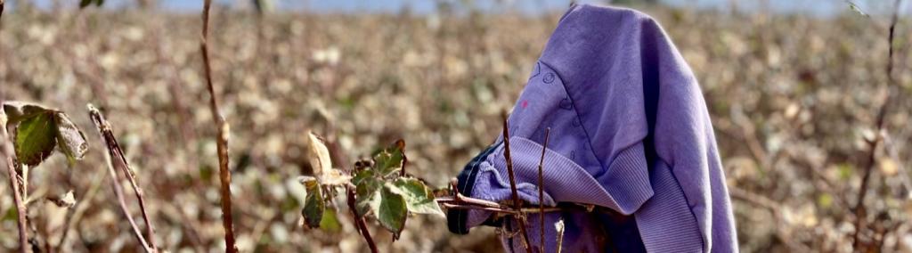 Sweater of a school-aged girl who is accompanying her mother to the field during the 2022 cotton harvest