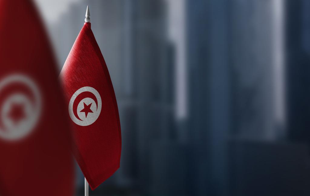 Tunisia's Political Transition at the Crossroads