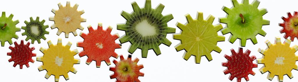 Gears made of fruit slices on white background.