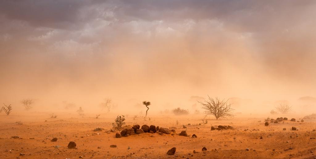 Scarcity, Mobility, and Conflict in Somalia: Climate Change and the Future of Transhumance in Galmudug and Hirshabelle States