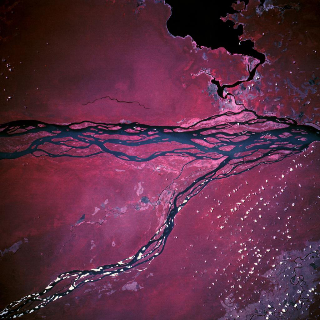 The dense swamp at the confluence of the Zaire (Congo) and Ubangi (Oubangui) Rivers in northwestern Zaire is greatly enhanced by this color infrared photograph. The uniform, reddish color that dominates this scene shows a virtually unbroken tropical rain forest canopy. The pale pink areas, mostly along the shores of the rivers and Lake Tumba (large, dark feature south of the Zaire River), show locations of slash-and-burn agriculture. Much of the virgin floodplain forest in this region has been spared the fa