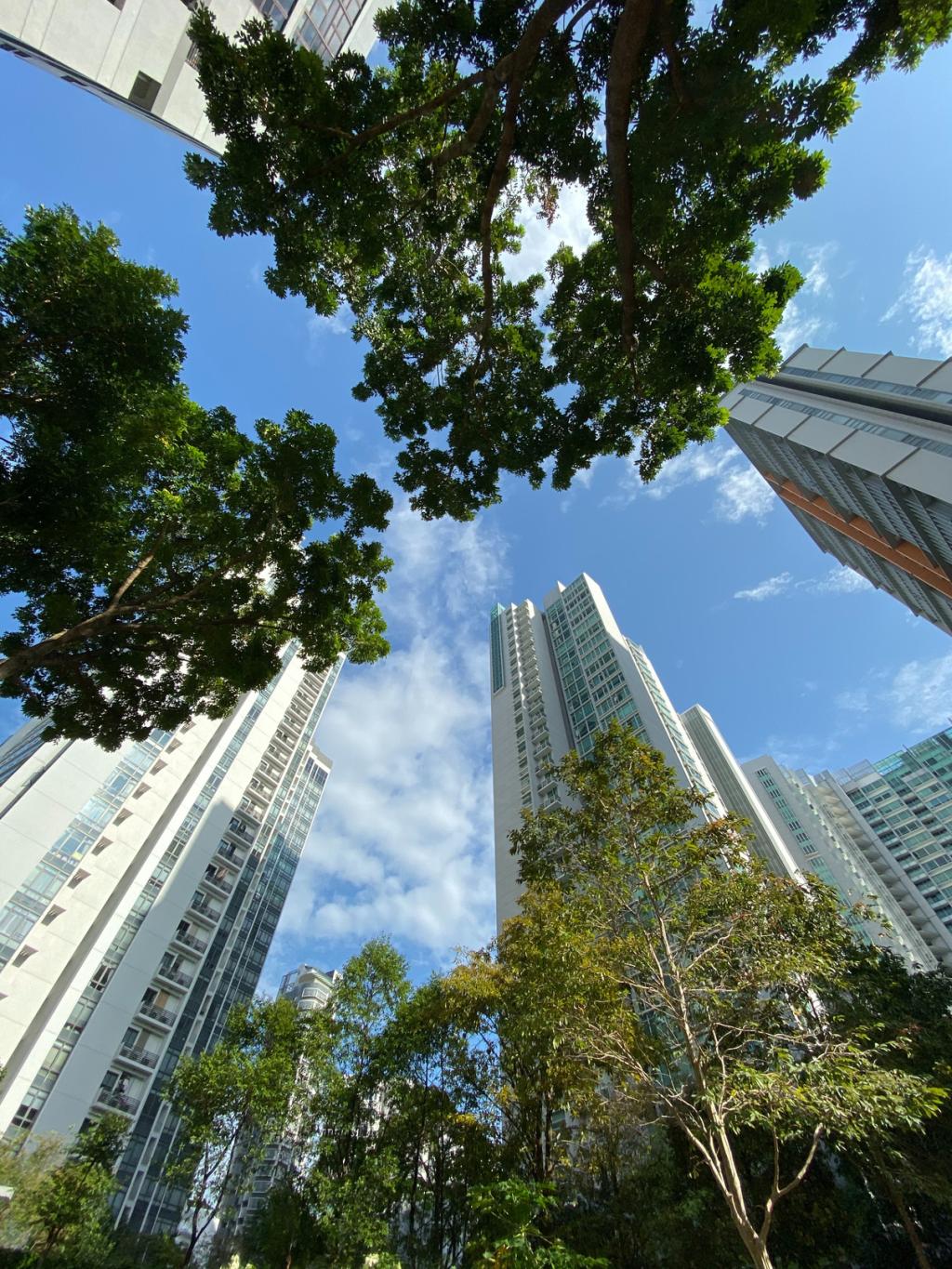 Urban Biodiversity Governance