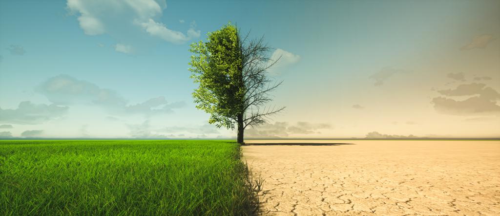Climate Mitigation Policies