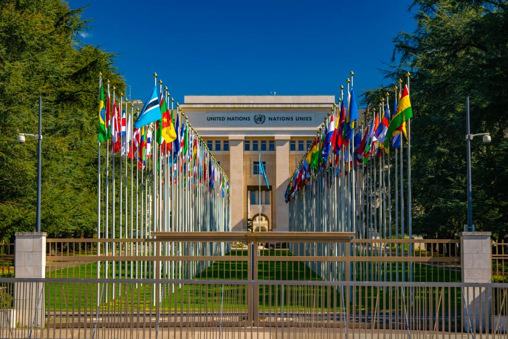 From “Using” to “Doing” Intersectionality at the UN: Zooming in on Special Procedures