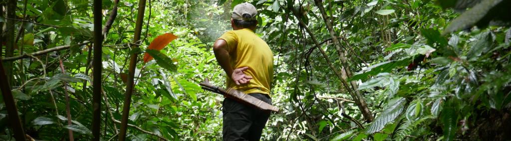 Photo of a man in the Upper Baram Forest Area (UBFA) park