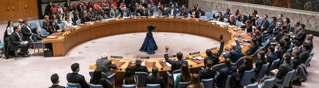 UN Security Council members