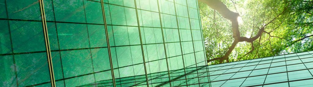 Banner Thematic Sustainability, Environment and Impact