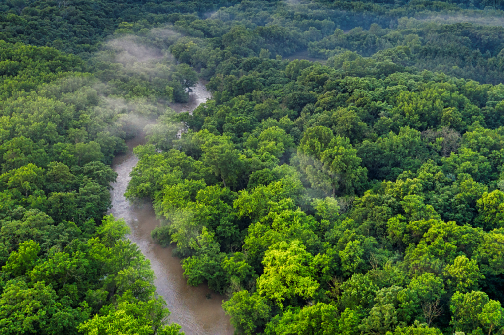 forest river