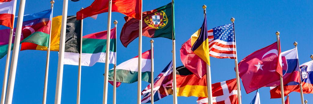 Globe36_Newsletter_15-FC-WorldDiplomacyProgramme