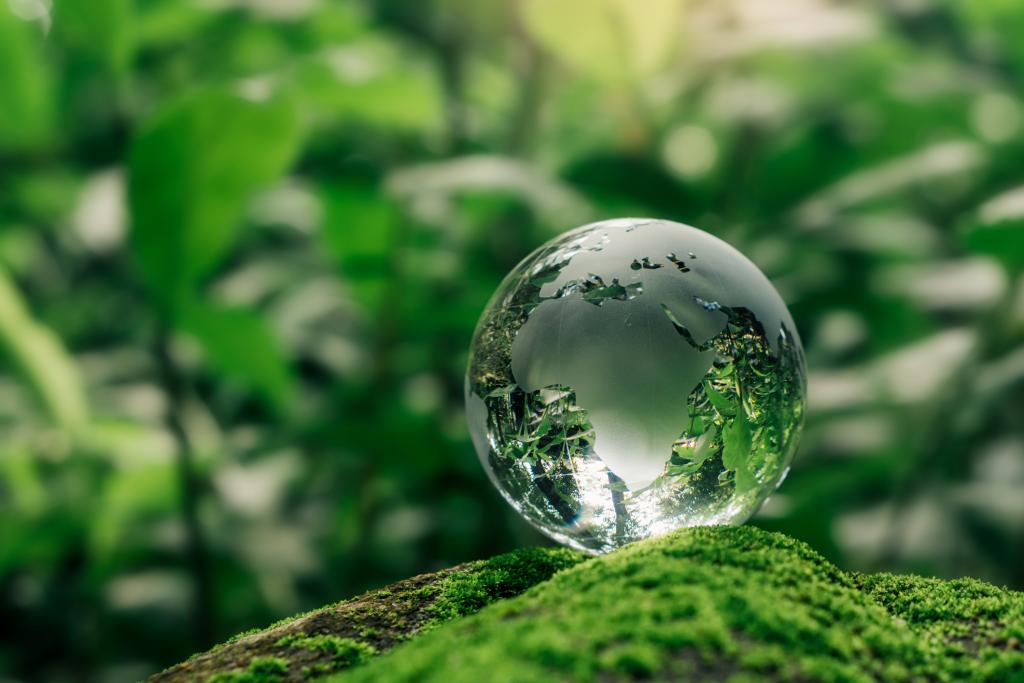 Glass earth globe among greenery