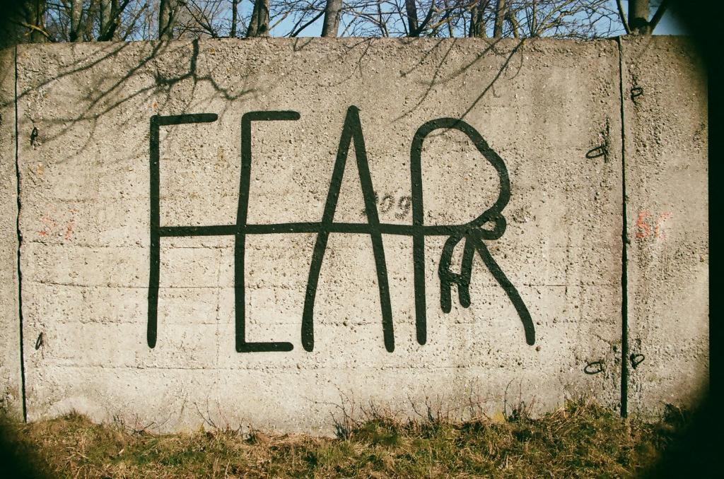 Making and Unmaking of Life: The Politics and Psychology of Fear from the 1970s to the Present