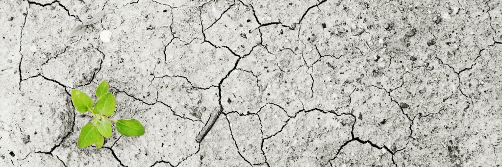 CCDP Banner 4 | Cracked ground
