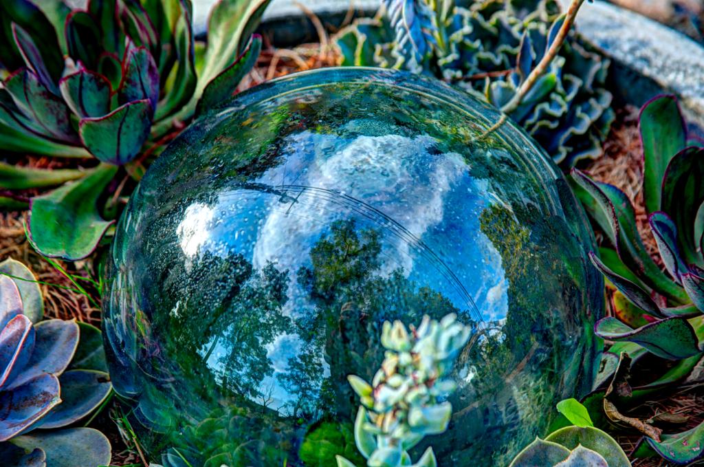 Pail VanDerWerf. A glass orb in a garden reflects the sky and trees, surrounded by succulents. The scene blends nature with mirrored tranquility, evoking serenity.