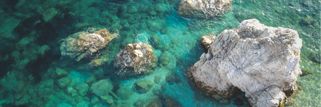 HCGS | Dying Seas Project Page