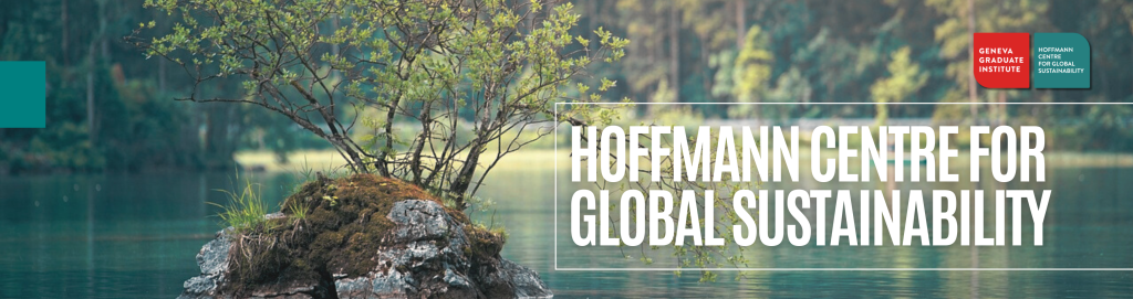 HCGS | Website banner with center name