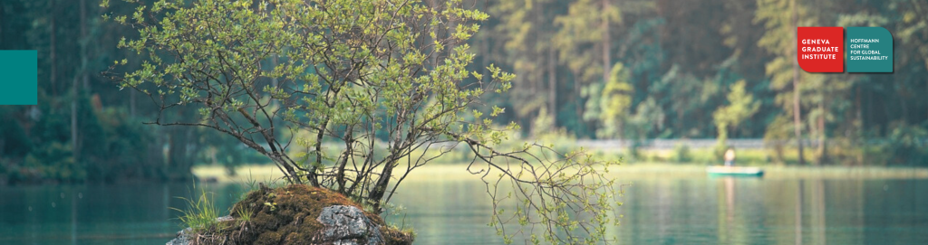 Banner photo of water and tree