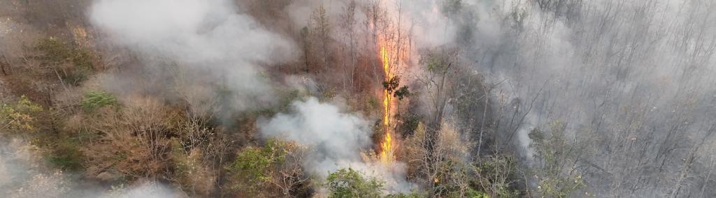 El Nino weather phenomenon causes drought and increases wildfire in Southeast Asia. 